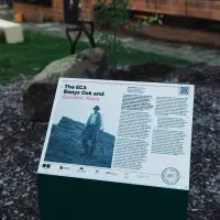 Strategy: Get Arts. SGA50 Beuys oak planting ceremony 23